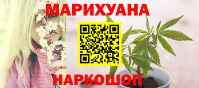 гидра Рыбинск