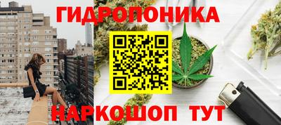 гидра Рыбинск